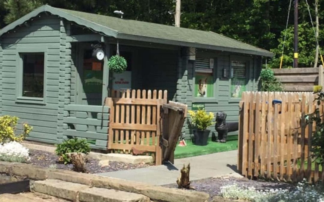How Professional Dog Kennels Help Reduce Separation Anxiety